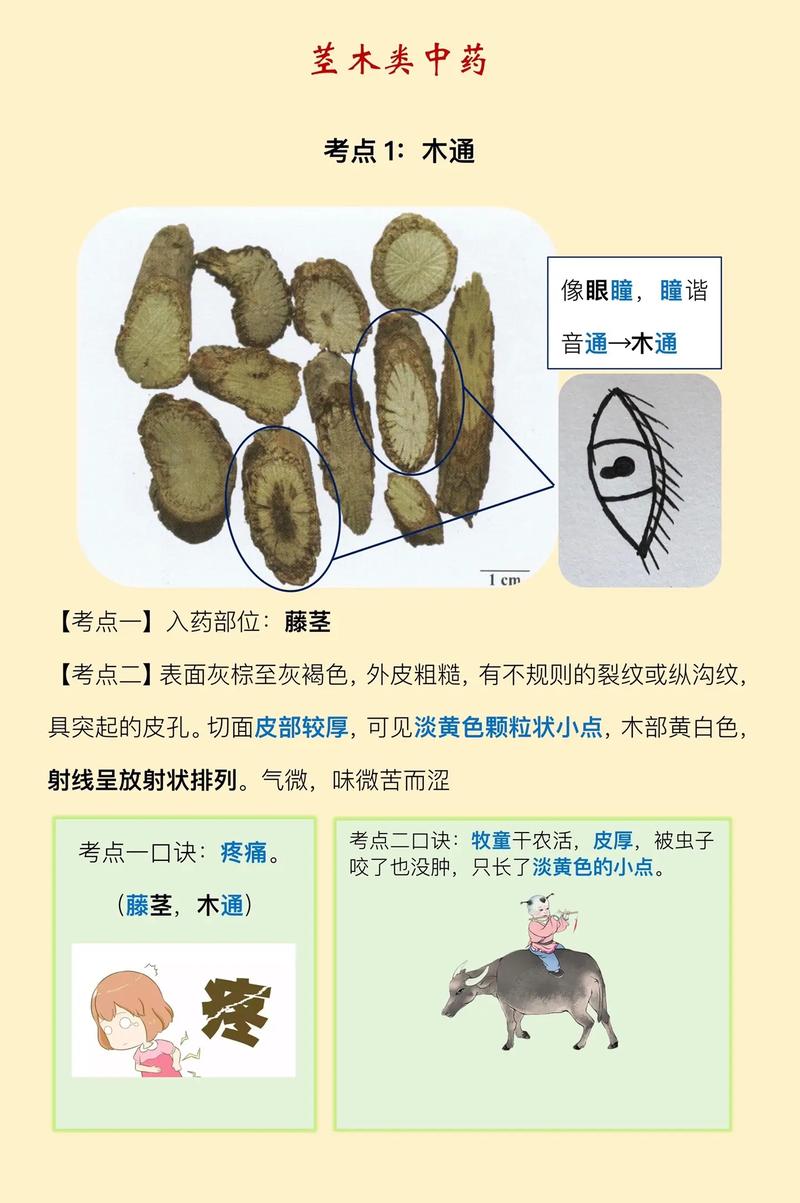 梵星印度代购希爱力是真的吗？避坑指南与正品鉴别全攻略